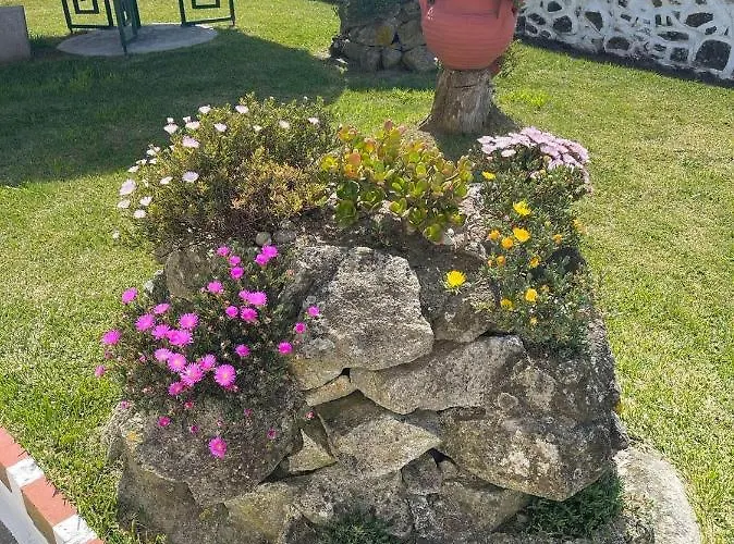 Vivenda Taborda Tatil Evi